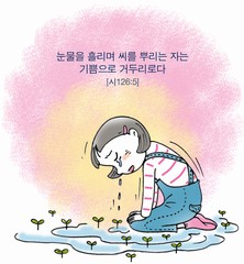 ȸ : 359, ۼ : 2022-3-16