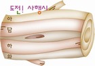 ȸ : 947, ۼ : 2005-1-24
