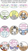 조회수 : 621, 작성일 : 2013-7-11