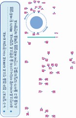 ȸ : 33, ۼ : 2024-7-31