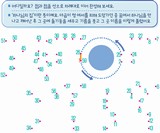 ȸ : 38, ۼ : 2024-12-11